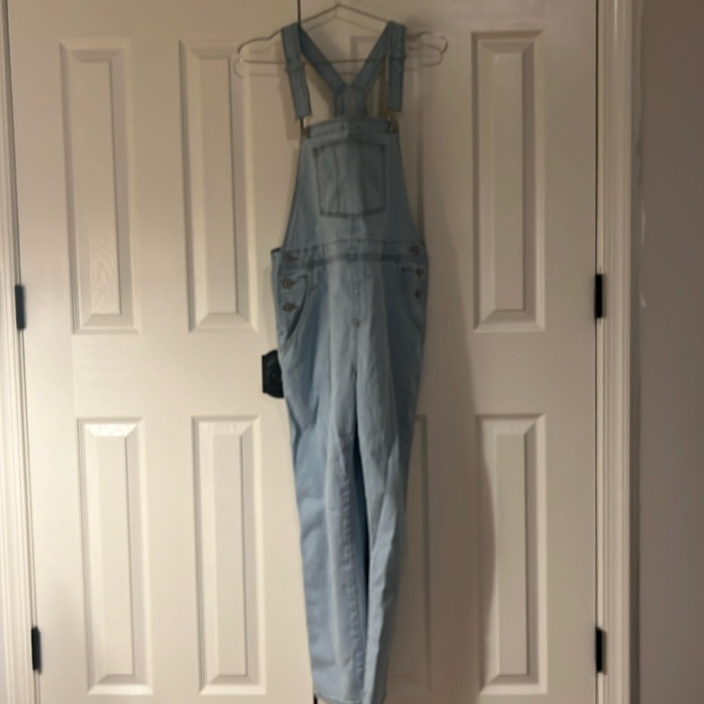Bib overalls (no designer tag, bought from Amazon). Size LRG. Gently used.
